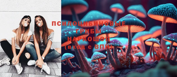 соль ск Алексин