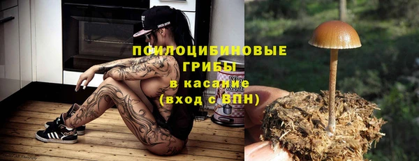 дурь Алзамай