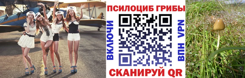 Галлюциногенные грибы мухоморы  купить закладку  Юрьевец 